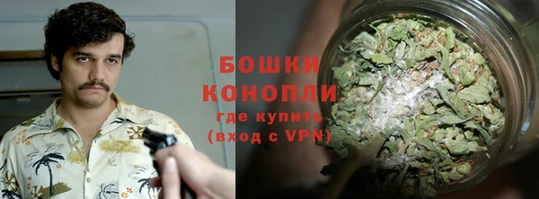 дживик Баксан